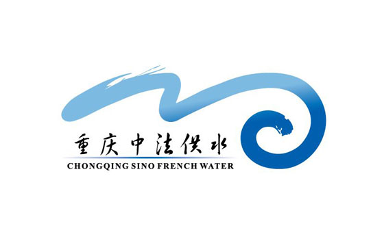 重庆中法水务项目不锈钢伸缩接头工程案例